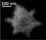 24-carat gold 'snowflakes' improve graphene's electrical properties
